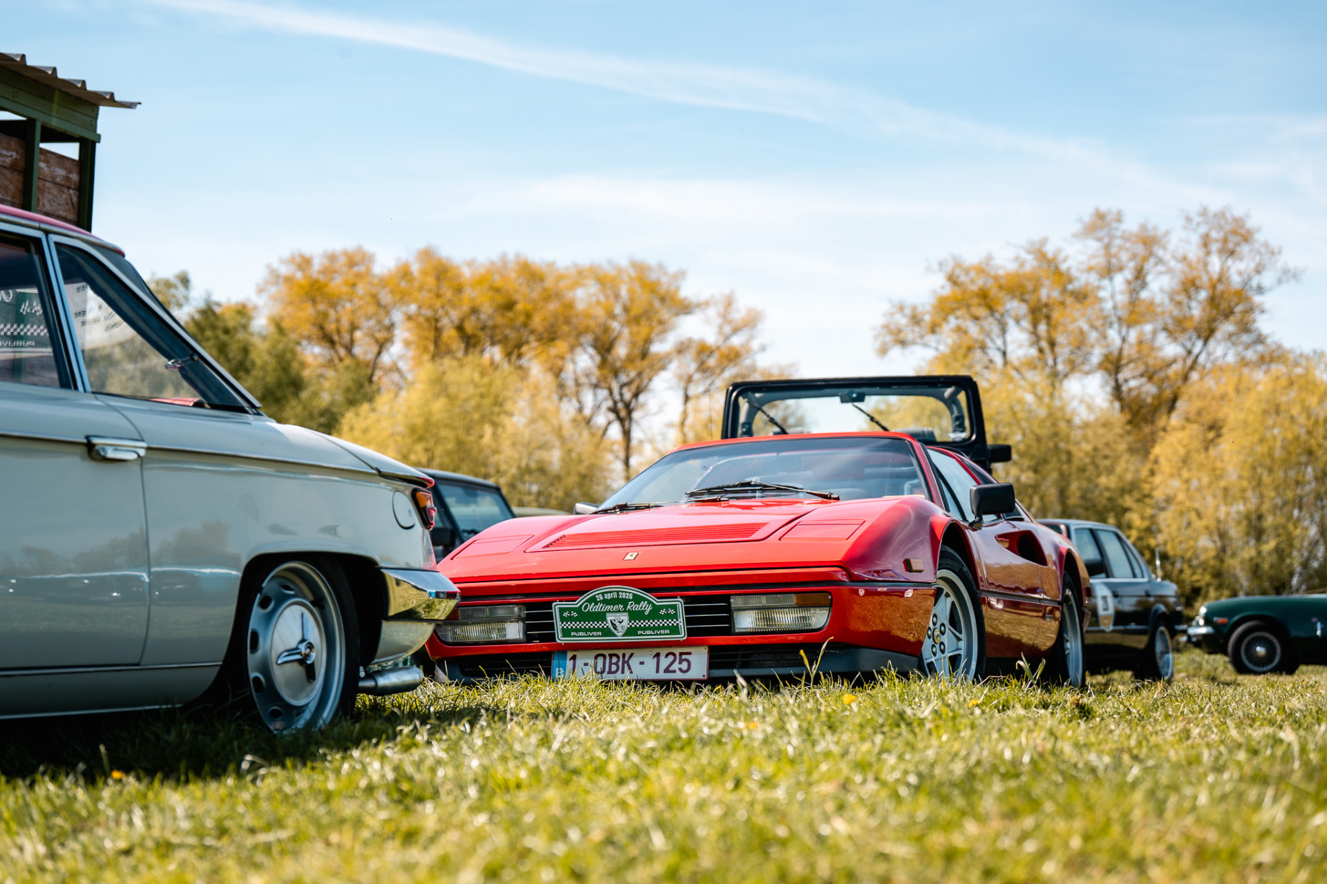 Rode klassieke Ferrari tussen oldtimers op het gras tijdens de Oldtimerrit
